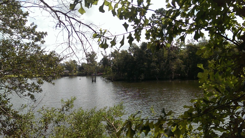 View of Bayou from the East side of the property